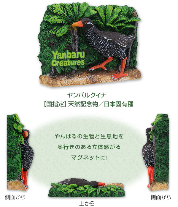 やんばるくいな商品 fit=scale-down,w=1200