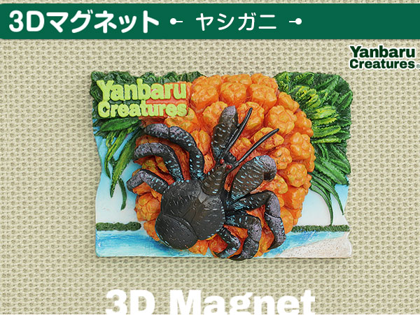 動物 生物 3D マグネット やんばるの生物 ヤシガニ / カロラータ