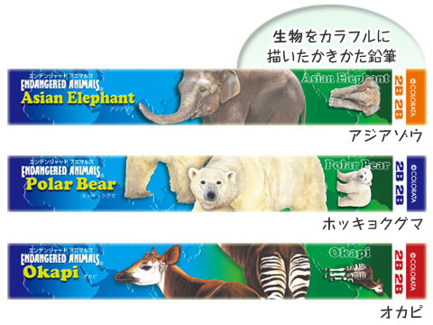 くましか　新品　ひととき　本体850ml 3本×2セット 単品販売)ShinWoo 暖かい熊ハグシリーズ ぬいくるみブラインド