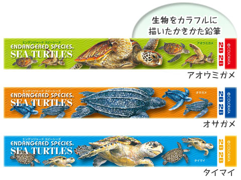 動物 生物 かきかた鉛筆3本セット2B ウミガメ / カロラータ