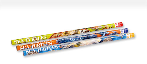 動物 生物 かきかた鉛筆３本セット２Ｂ ウミガメ / カロラータ