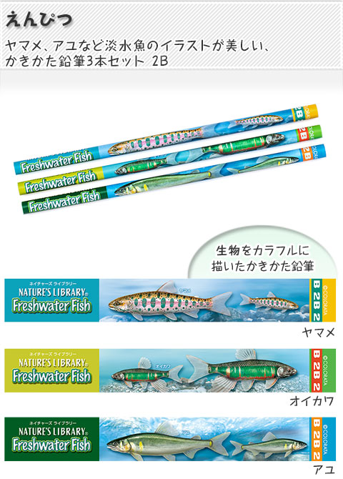 動物 生物 かきかた鉛筆3本セット2B 淡水魚 / カロラータ