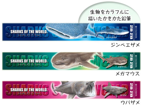 動物 生物 かきかた鉛筆3本セット2B ジンベエザメ / カロラータ