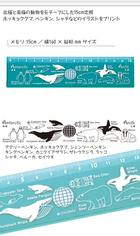 教科書セット（北海道情報大学生向け）バラ売り可 動物 生物 カラー定規15cm 北極と南極の動物（縦4cm） / カロラータ