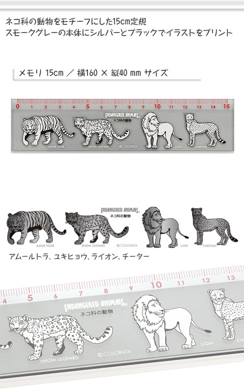 動物 生物 カラー定規15cm ネコ科の動物（縦4cm） カロラータ オンラインショップ