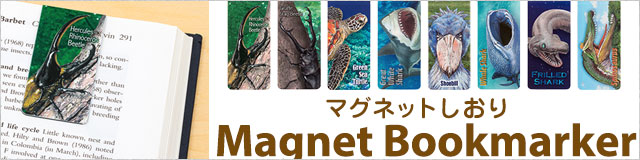 ✤ハチ✤ブックマーク:G' マグネット:A' アルバムアクスタ:A' hack GU マグネット アクスタ アクキーセット - メルカリ