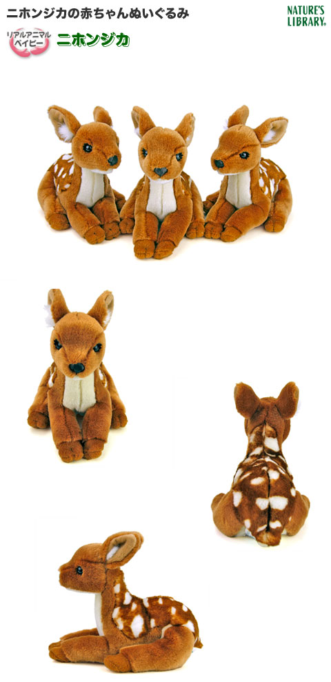 動物 生物 ぬいぐるみ リアルアニマルベイビー ニホンジカ