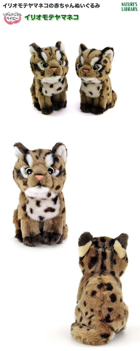 宇多田ヒカル プロデュース 猫のぬいぐるみ UtadaHikaru #宇多田