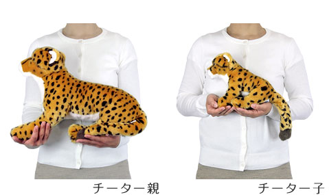 動物 生物 チーター 親子 カロラータ オンラインショップ