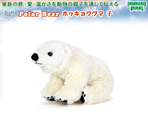 動物 生物 ぬいぐるみ リアルアニマルファミリー ホッキョクグマ