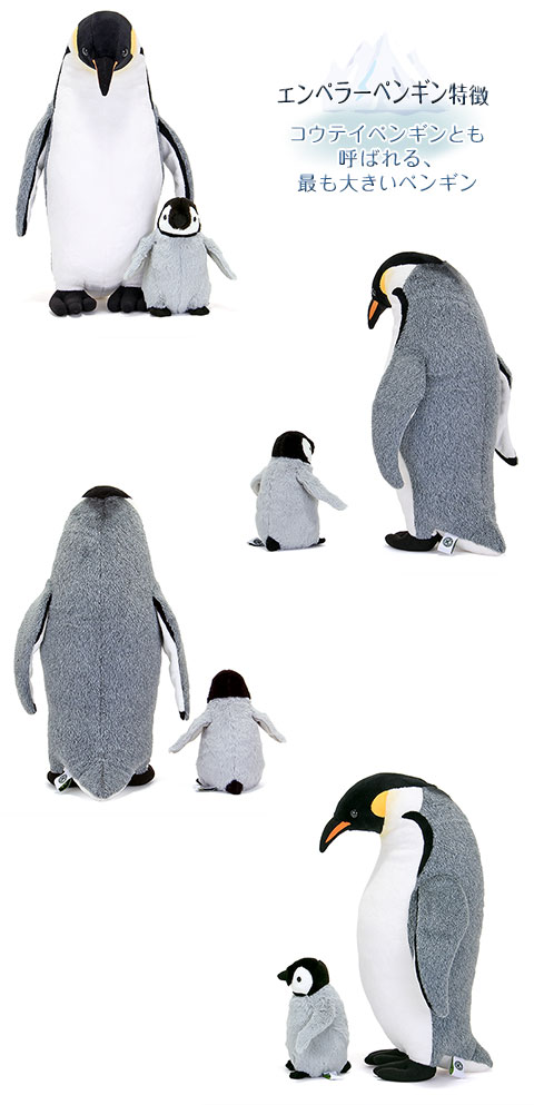 コウテイペンギン　親子ぬいぐるみ コウテイペンギン 赤ちゃん ぬいぐるみ ヒナ A-SHOW 栄商 Sucre