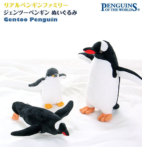 ジェンツーペンギン│動物 カロラータ オンラインショップ