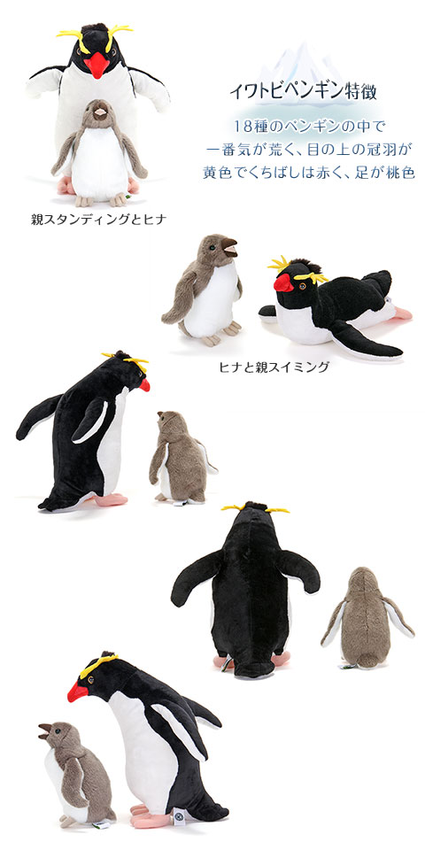 イワトビペンギン│動物 カロラータ オンラインショップ