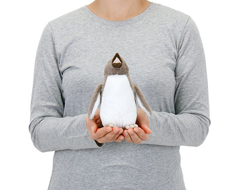 イワトビペンギン│動物 カロラータ オンラインショップ