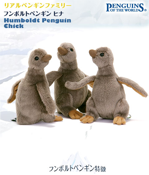 動物 生物 ぬいぐるみ リアルペンギンファミリー フンボルトペンギン