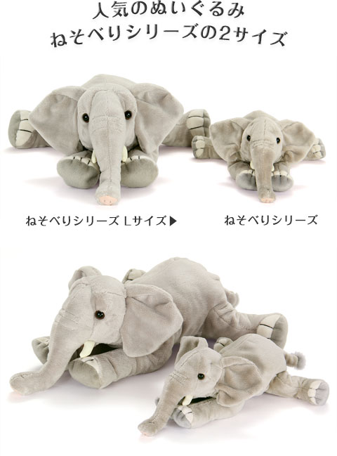 動物 生物 ぬいぐるみ ねそべりシリーズ アフリカゾウ / カロラータ