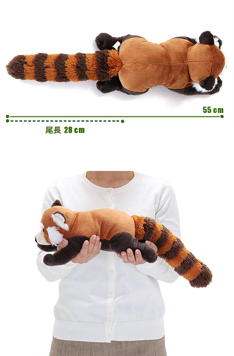 動物 生物 ぬいぐるみ ねそべりシリーズ レッサーパンダ Lサイズ