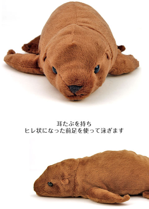 動物 生物 ぬいぐるみ ねそべりシリーズ アシカ / カロラータ