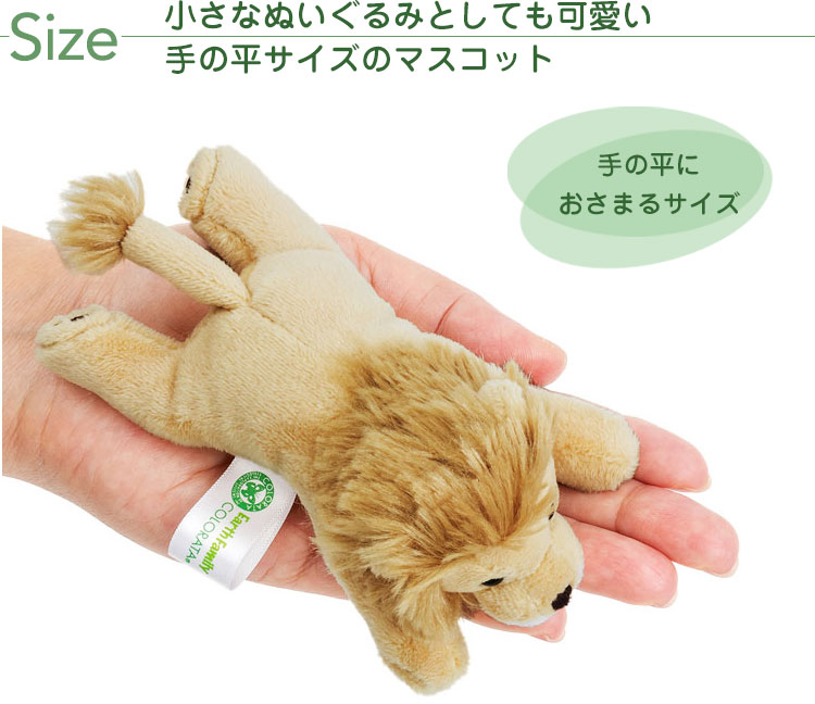 マグネット マスコット ライオン│動物 カロラータ オンラインショップ
