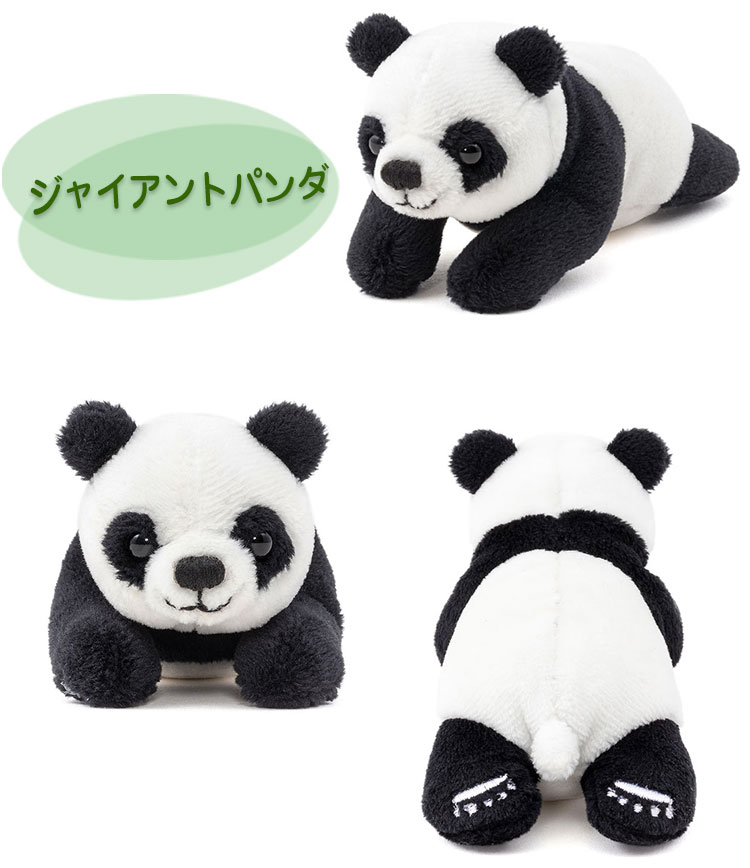 マグネット マスコット ジャイアントパンダ│動物 カロラータ 