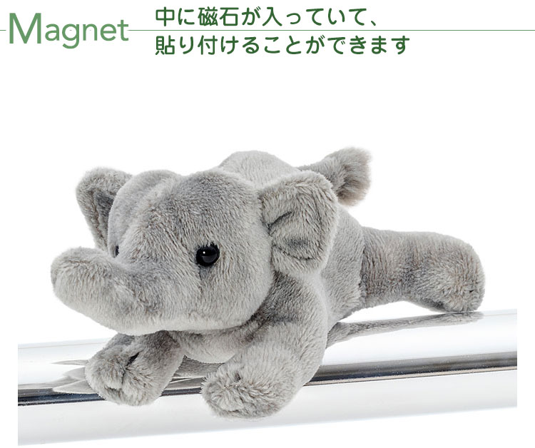 マグネット マスコット アジアゾウ│動物 カロラータ オンライン