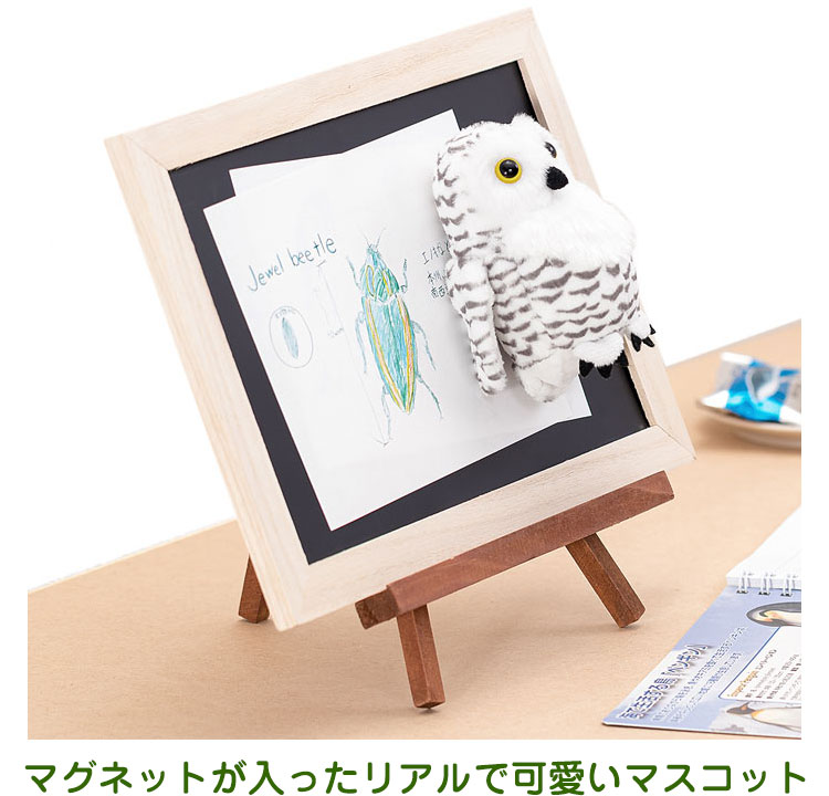マグネット マスコット シロフクロウ│動物 カロラータ