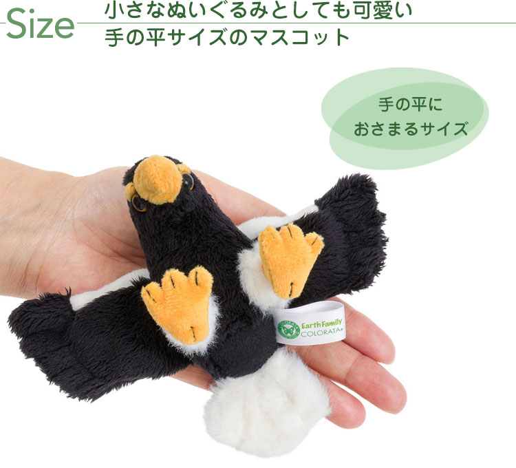 マグネット マスコット オオワシ│動物 カロラータ オンライン