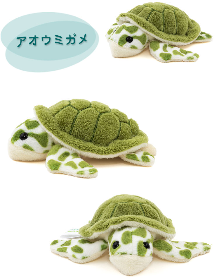 マグネット マスコット アオウミガメ│動物 カロラータ オンライン