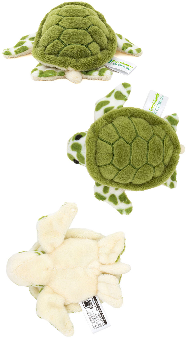 マグネット マスコット アオウミガメ│動物 カロラータ オンライン
