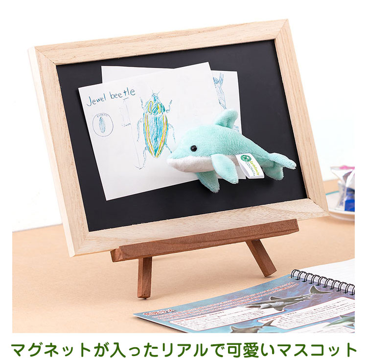 マグネット マスコット ハンドウイルカ│動物 カロラータ オンライン