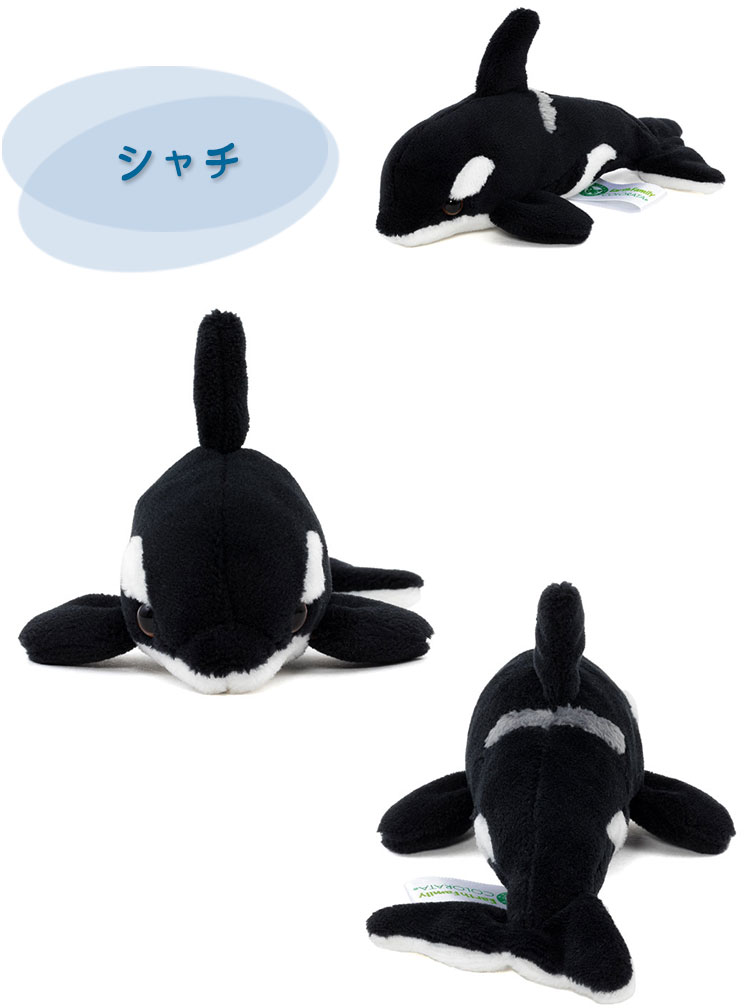 マグネット マスコット シャチ│動物 カロラータ オンラインショップ