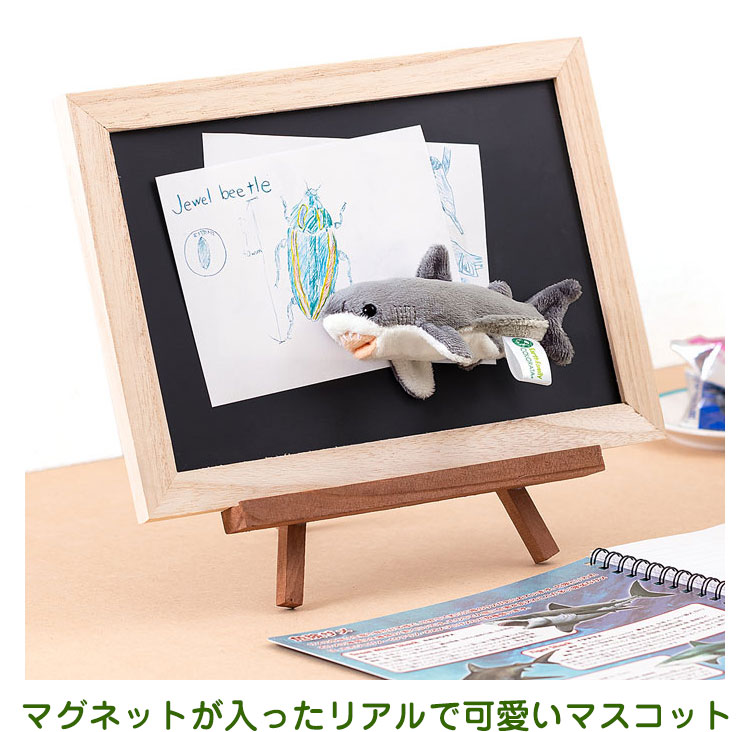 マグネット マスコット ホホジロザメ│動物 カロラータ オンライン