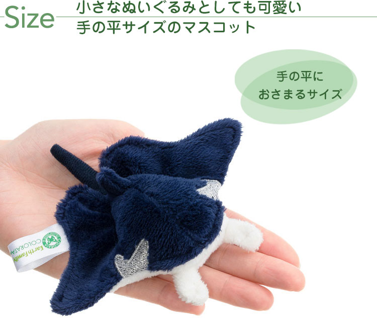 マグネット マスコット ナンヨウマンタ│動物 カロラータ オンライン