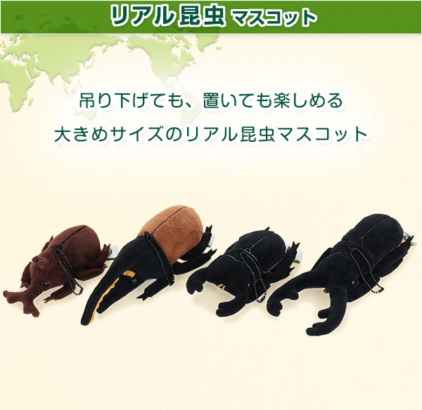 リアル 昆虫 カブトムシ クワガタ マスコット 3種 動物 生物 リアル昆虫マスコット カロラータ オンラインショップ