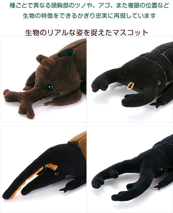 動物 生物 リアル昆虫マスコット カロラータ オンラインショップ