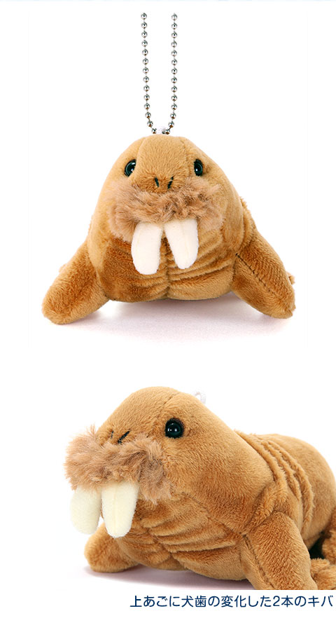 動物 生物 ぬいぐるみマスコット セイウチ / カロラータ