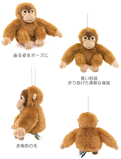 リアル野生動物マスコット オランウータン│カロラータ通販