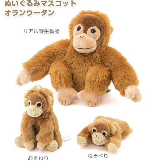 リアル野生動物マスコット オランウータン│カロラータ通販 リアル野生動物マスコット オランウータン│カロラータ通販