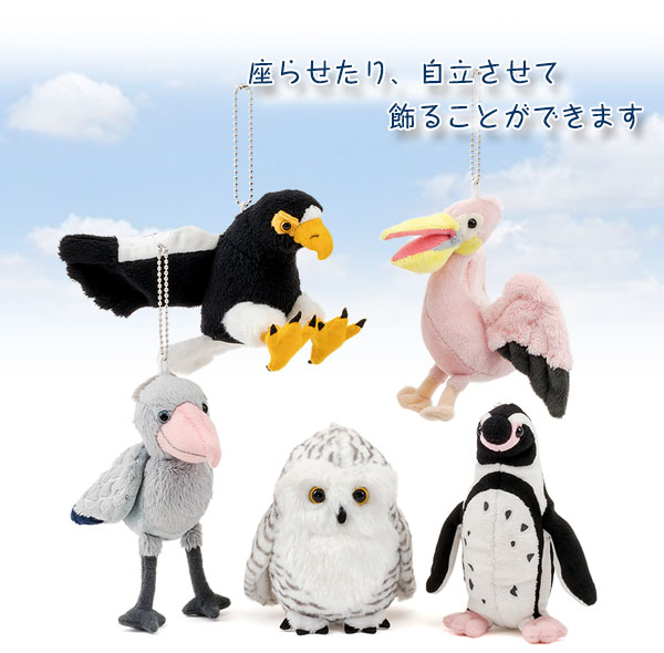 動物 生物 リアル鳥類マスコット カロラータ オンラインショップ