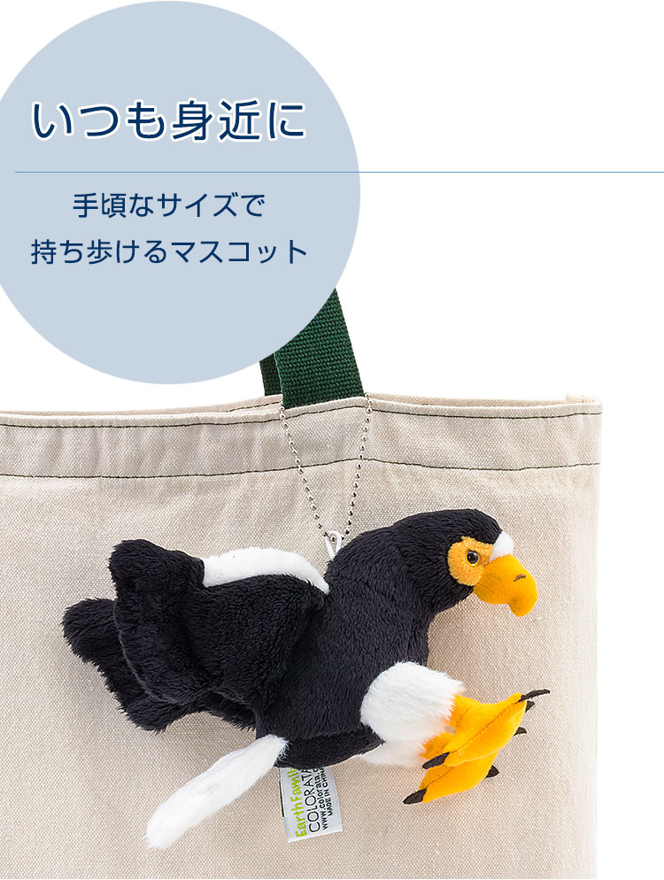 鳥類 マスコット オオワシ│動物 カロラータ オンラインショップ