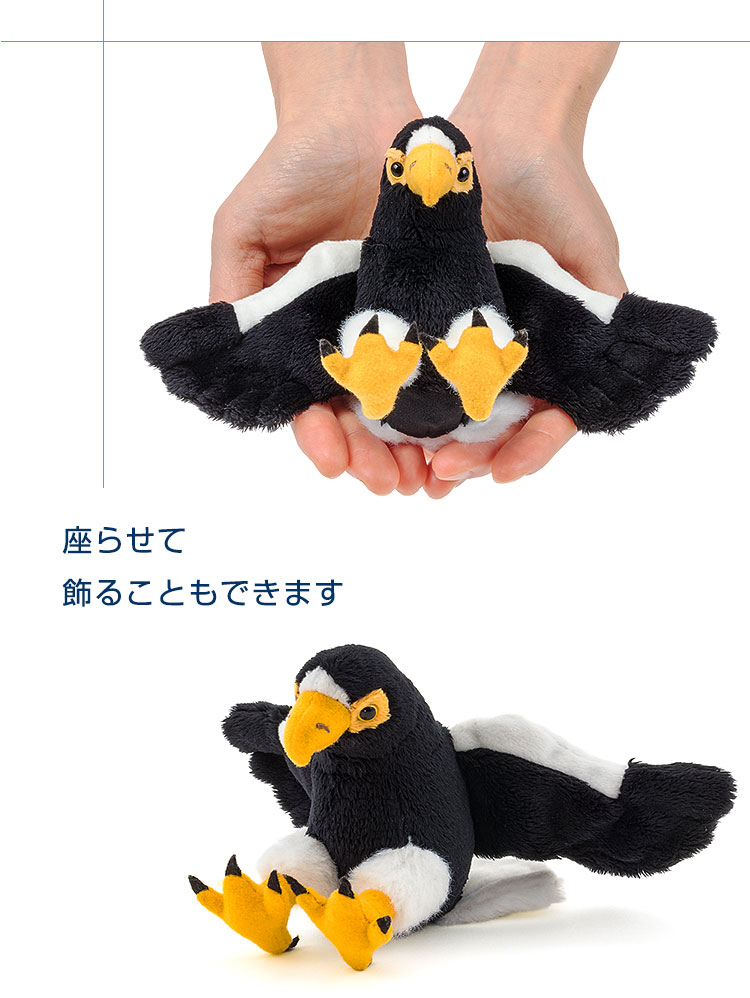鳥類 マスコット オオワシ│動物 カロラータ オンラインショップ