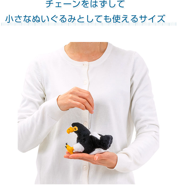 鳥類 マスコット オオワシ│動物 カロラータ オンラインショップ