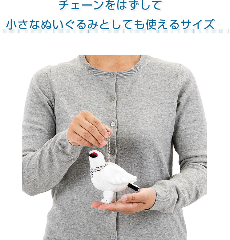 鳥類 マスコット ニホンライチョウ（冬羽）│動物 カロラータ