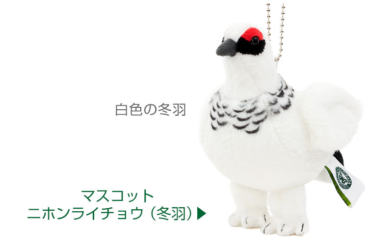 鳥類 マスコット ニホンライチョウ（夏羽）│動物 カロラータ