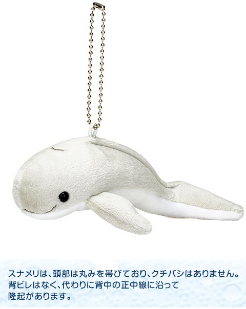 新品未使用タグ付き　スナメリ　big ぬいぐるみ 動物 生物 ぬいぐるみマスコット スナメリ / カロラータ オンライン