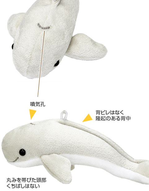 動物 生物 ぬいぐるみマスコット スナメリ / カロラータ オンライン