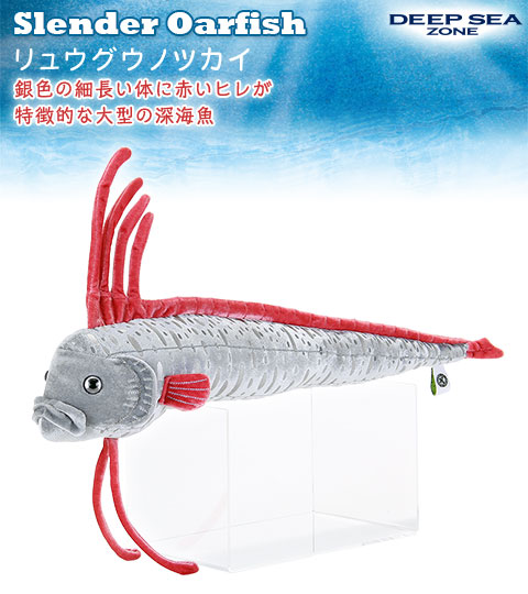 Amazon.co.jp: リュウグウノツカイ ぬいぐるみ DMMかりゆし