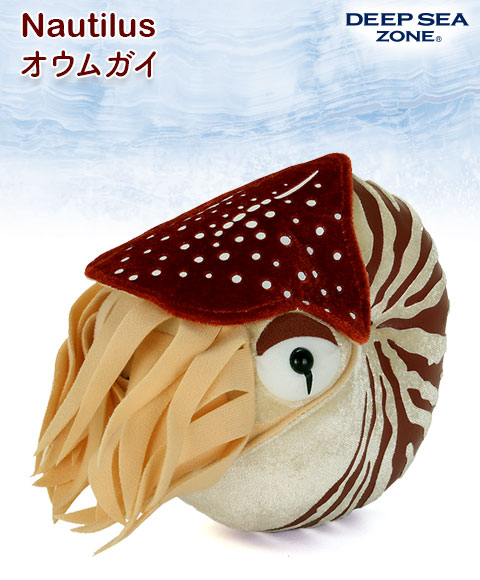 オウムガイ