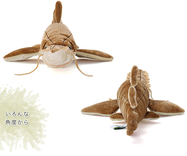 動物 生物 ぬいぐるみ ノコギリザメ / カロラータ オンラインショップ