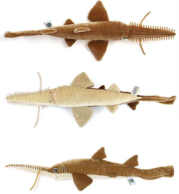 動物 生物 ぬいぐるみ ノコギリザメ / カロラータ オンラインショップ